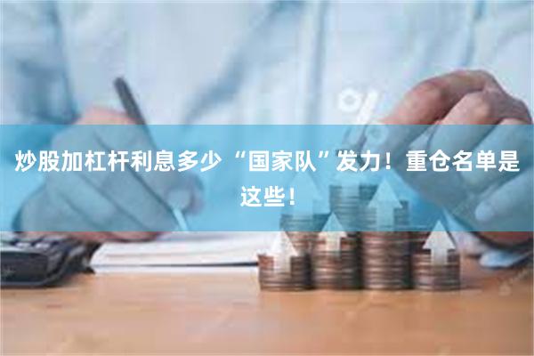 炒股加杠杆利息多少 “国家队”发力！重仓名单是这些！
