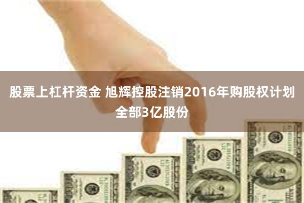 股票上杠杆资金 旭辉控股注销2016年购股权计划全部3亿股份